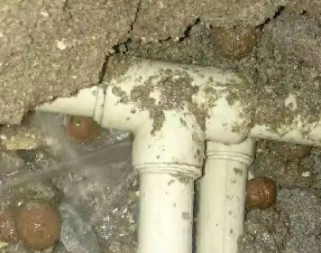 菏泽市测漏水多少钱