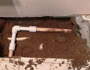 菏泽市测漏水哪家好