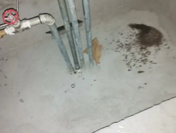 菏泽市卫生间测漏水价格明细