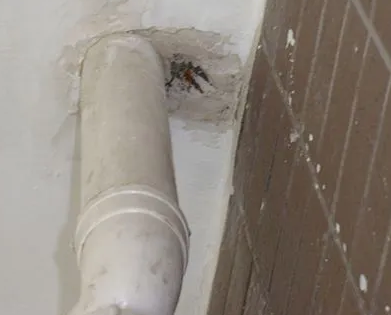 菏泽市漏水检测哪家好